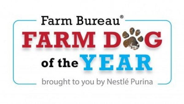 Farm Dog Logo Nestle Purina Final